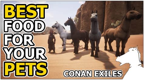 conan exiles pet food
